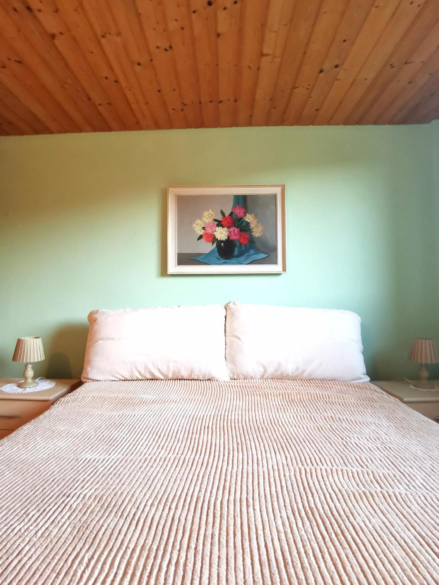 Grosses Ferienhaus Plattensee Balaton - Nyaralo Haz 6 Szobaval, 5 Fuerdoszobaval, 3000 Nm Apartamento Szolad Exterior foto